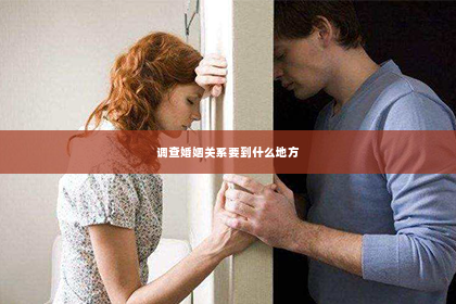 调查婚姻关系要到什么地方