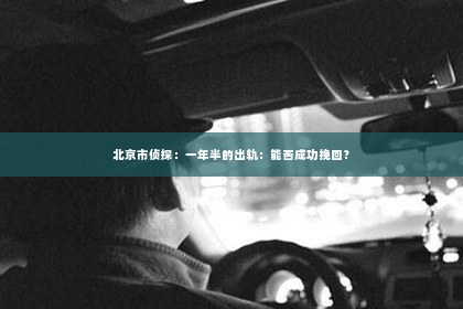 北京市侦探：一年半的出轨：能否成功挽回？