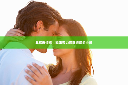 北京市侦探：姐姐努力修复婚姻的小说