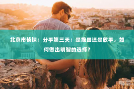 北京市侦探：分手第三天：是挽回还是放手，如何做出明智的选择？